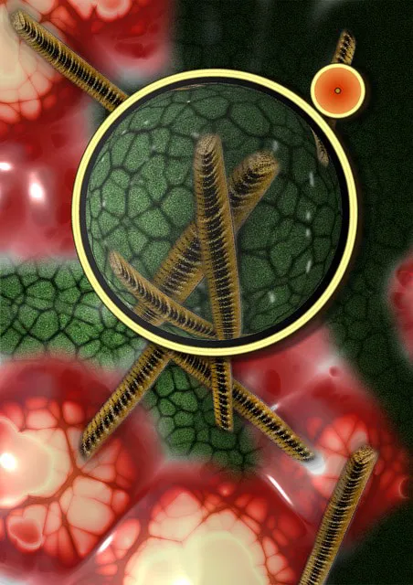 Microscopic view of bacteria