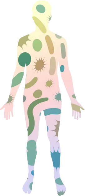 Illustration of a human figure showing where microbes live on and in the body